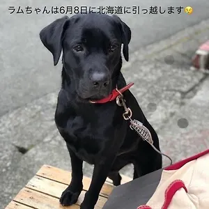  게스트하우스 토이